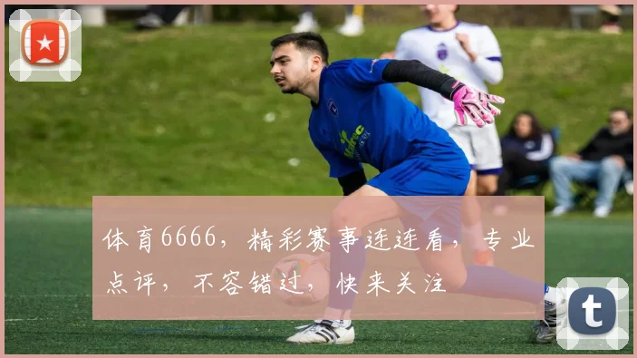 体育6666，精彩赛事连连看，专业点评，不容错过，快来关注