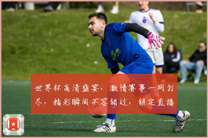 世界杯高清盛宴，激情赛事一网打尽，精彩瞬间不容错过，锁定直播频道，共赏足球魅力