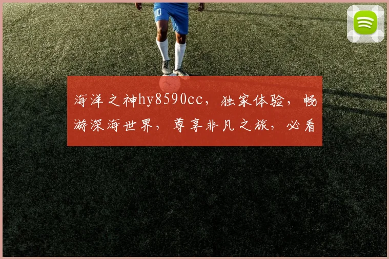 海洋之神hy8590cc，独家体验，畅游深海世界，尊享非凡之旅，必看攻略